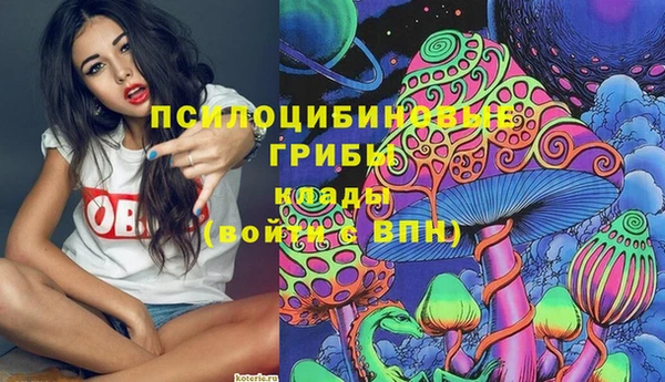 PSILOCYBIN Алексин