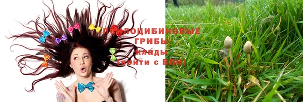 мдма Новозыбков