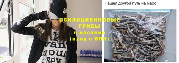 спайс Алзамай