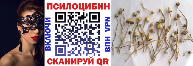 Галлюциногенные грибы Psilocybe  Перевоз 